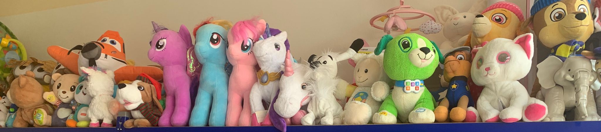 Rang de peluches dna sle magasin